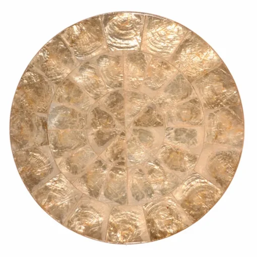 Capiz Shell Placemat Champagne Set of 4