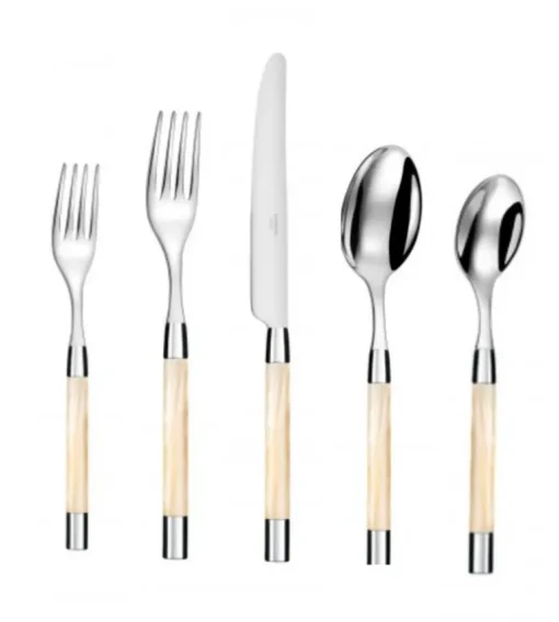 Conty Flatware 5 Piece Setting