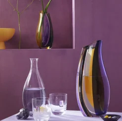 Elevo DOF Glasses Amethyst Set of 2