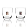 Elevo DOF Glasses Smoke Set of 2
