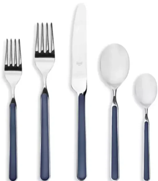 Fantasia Flatware 5 Piece Set | 16 Available Colors