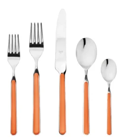 Fantasia Flatware 5 Piece Set | 16 Available Colors