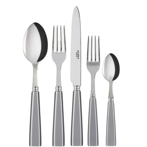 Icone Flatware 5 Piece Setting