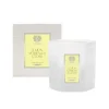 Lemon Verbena & Cedar Candle