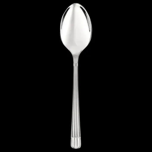 Osiris Stainless Steel Serving Spoon