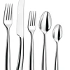 Silhouette Flatware 5 Piece Setting