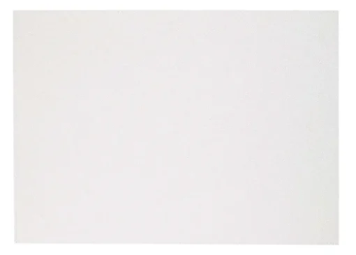 Skate Rectangle Placemat Set of 4