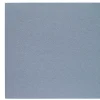 Skate Square Placemat Ice Blue Set of 4