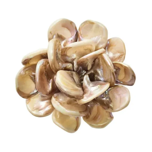Tahiti Napkin Rings Natural Set of 4