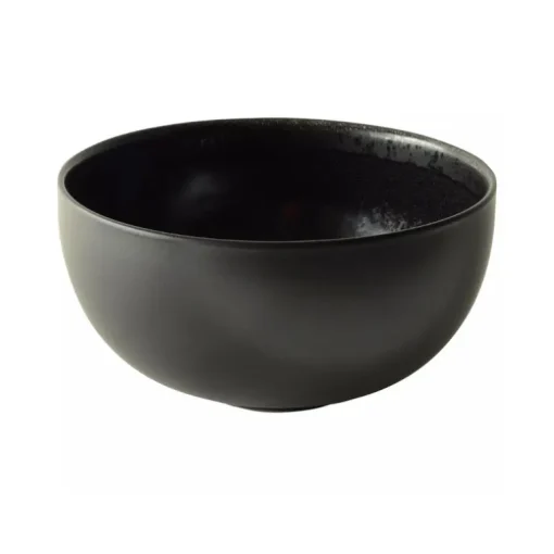 Tourron Dinnerware Celeste