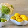 Vida Nube Bowls