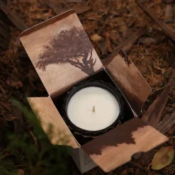 Willow Candle