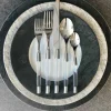 Zoe Flatware 5 Piece Setting